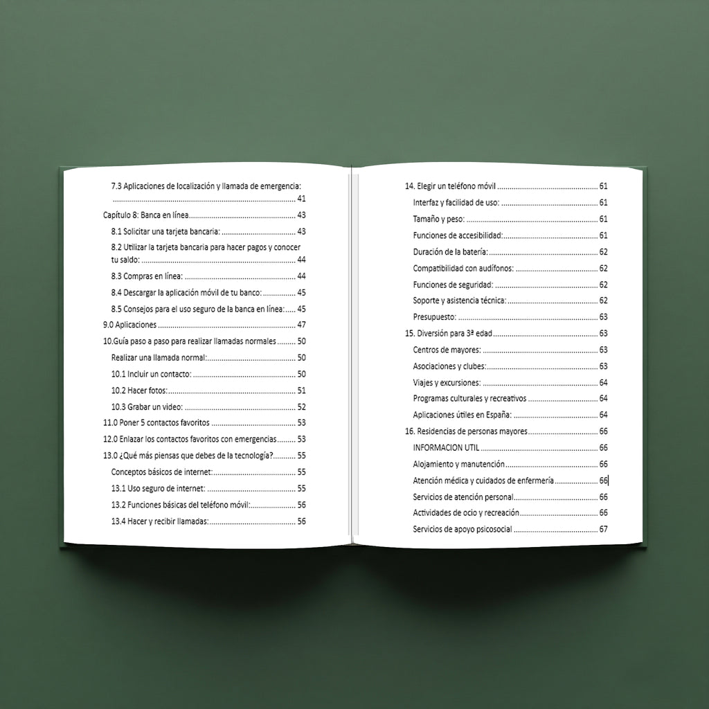 Pack Dominio Digital: Google Workspace y Guía para Mayores.