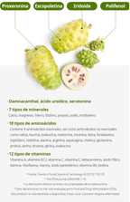 Suplemento Concentrado de Noni, Fruta Antioxidante Indonesia 24 ud - vista adicional del producto (4) - Cosmética Coreana Atomy